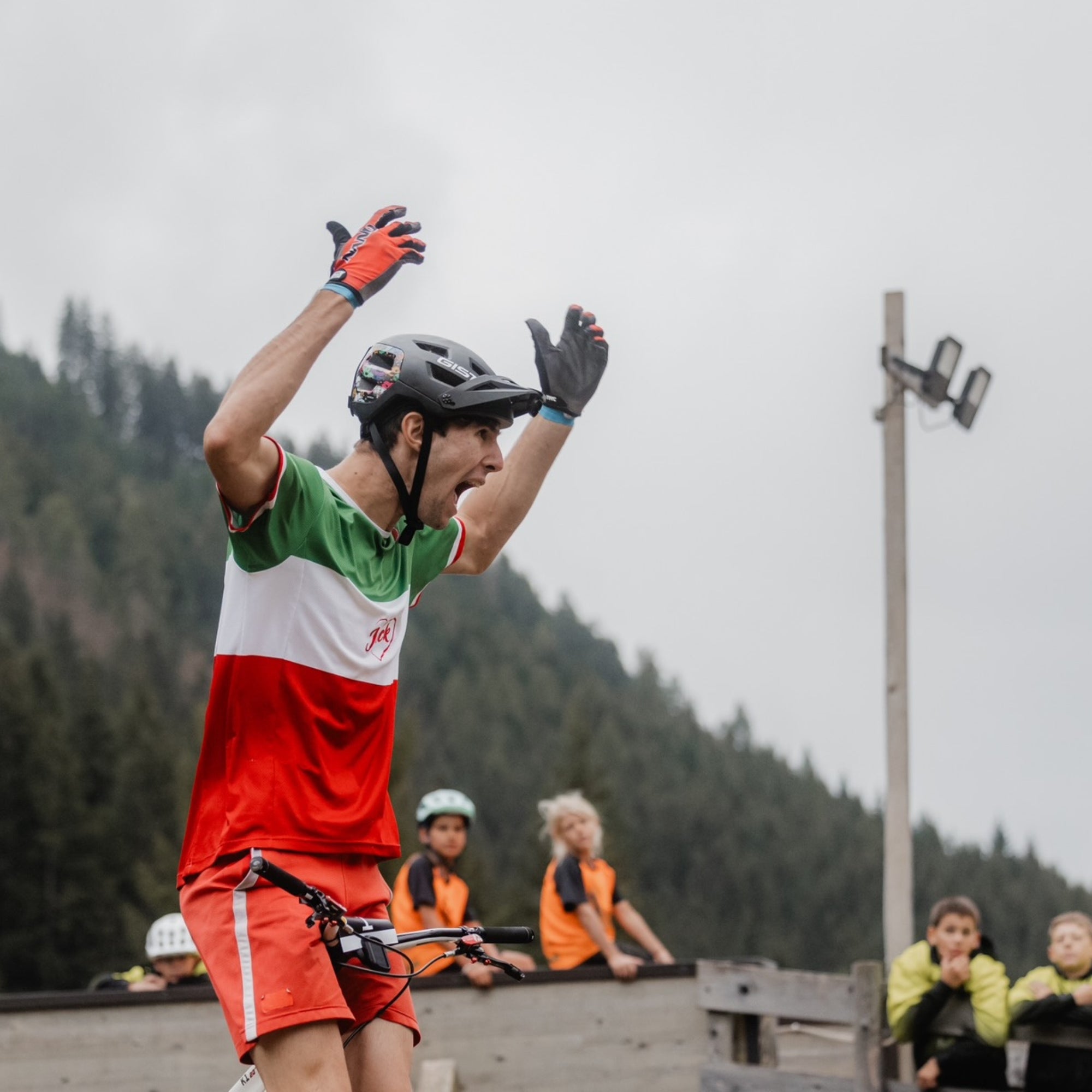 rosso,verde,blu,grigio,nero-bianco,murale,nero,palm