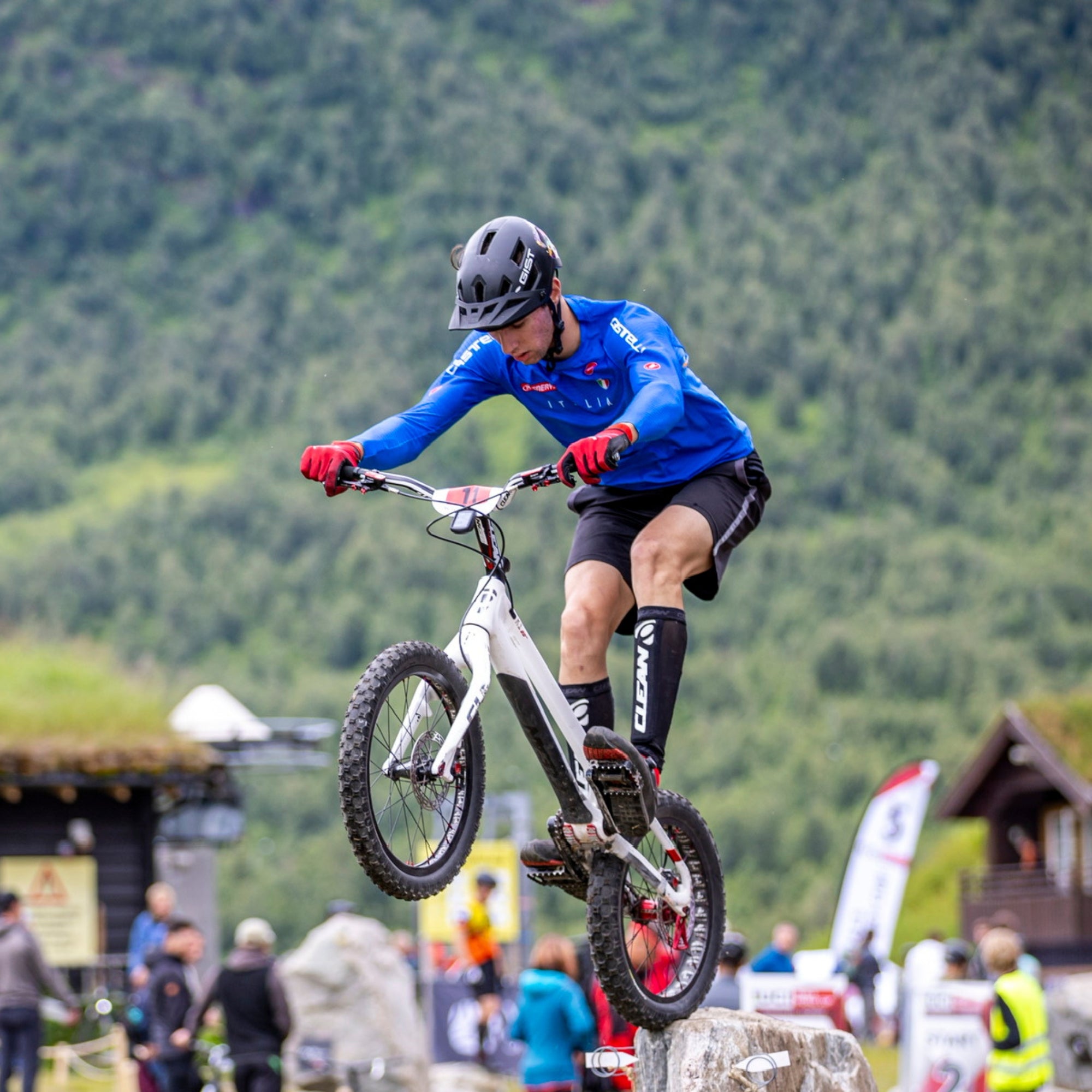 rosso,verde,blu,grigio,nero-bianco,murale,nero,palm